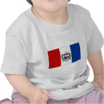 Brazil Alagoas Flag Tshirts