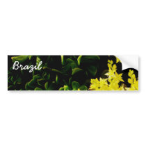 Brazil, Brazil bumper stickers