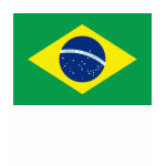 Brazil Flag and Map Spaghetti Top