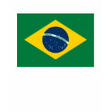 Brazil Flag T-shirt