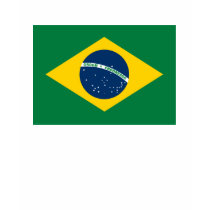 Brazil Flag T-shirt