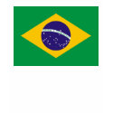 Brazil Flag t-shirts