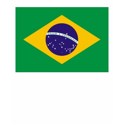 Brazil Flag Shirt by worldtees