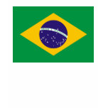 Brazil Flag t-shirts