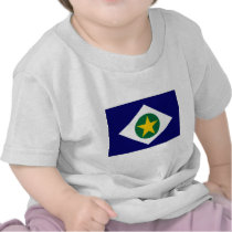 Brazil Mato Grosso Flag Shirt