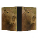 Brazil, Pantanal, Matto Grosso. Capybara Vinyl Binders