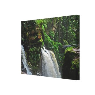 Brazil Rainforest Waterfall Canvas Print