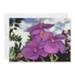 Brazilian glory bush flowers custom invite