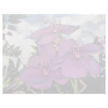Brazilian glory bush flowers customized letterhead