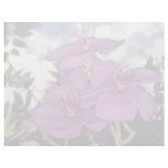 Brazilian glory bush flowers customized letterhead