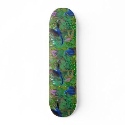 Parakeet Skateboard