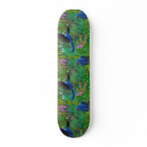 Brazilian Rainforest Parrots Skateboard