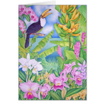 Brazilian Toucan in the Amazon cards by joeyartist Brazilian Toucan in the Amazon cards