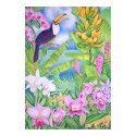 Brazilian Toucan in the Amazon posters by joeyartist Brazilian Toucan in the Amazon posters