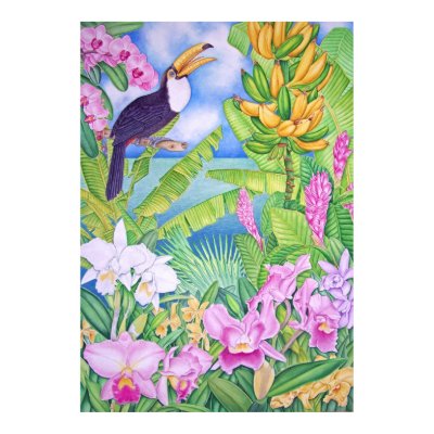 Brazilian Toucan in the Amazon Poster by joeyartist