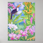 Brazilian Toucan in the Amazon posters