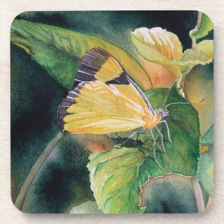 Brazilian Yellow Butterfly Fine Art Coasters