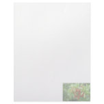 Brazillian Pepper Washed Out Pictuure Letterhead Template