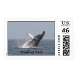 Breaching Humpback Whale Postage