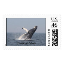 Breaching Humpback Whale Postage
