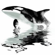 "BREACHING ORCA" Killer Whale Photo Sculpture
