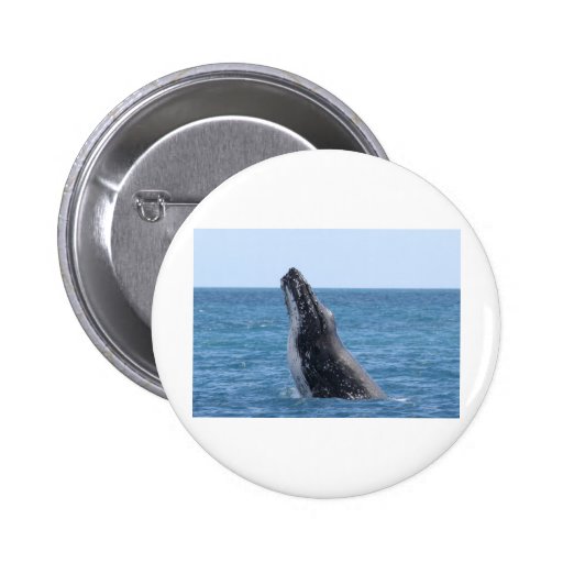 Breaching Whale Pins