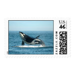 Breaching Whale Stamps