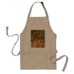 Bread Artisan aprons