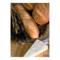 Bread & Cheese posters by malibuitalian Bread & Cheese posters
