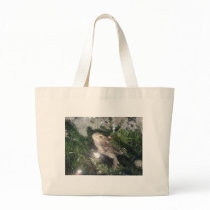 breaded dragon in xmas tree bags by gizmo2025 breaded dragon in xmas tree bags