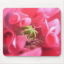Breadseed Poppy - Papaver Somniferum Mouse Pads