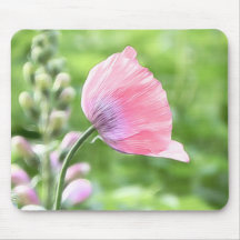 Breadseed Poppy Petals Mousepads