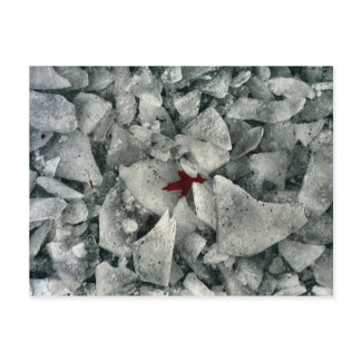 Break The Ice postcard