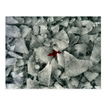 Break The Ice postcards