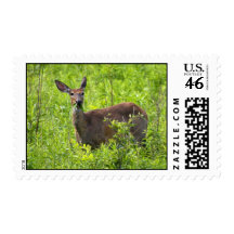 Breakfast Grazing Stamp