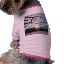 Breaking The Clouds On Winter Day pet clothing by lifesphere Breaking The Clouds On Winter Day pet clothing