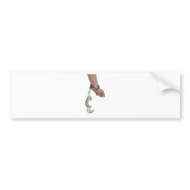 BreakingHandcuffs073110 Bumper Stickers