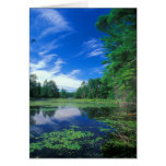 Breakneck Pond Bigelow Hollow Nipmuck State Forest Greeting Card