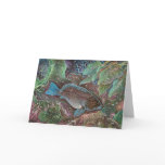 Breaksea cod Greeting Cards