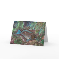 Breaksea cod Greeting Cards