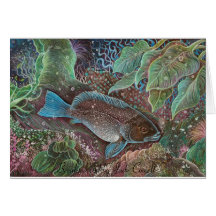Breaksea cod Greeting Cards