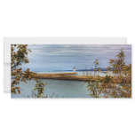 Breakwall Through the Trees Customized Rack Card