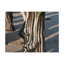 Breakwater postcards
