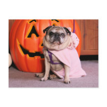 Breanna - Pug postcards