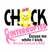 Breast Cancer Chick Interrupted 2 t-shirts