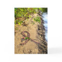 Breast Cancer Greeting Card-Pink ribbon in sand.