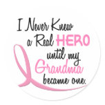 BREAST CANCER Never Knew A Hero 3 Grandma Stickers