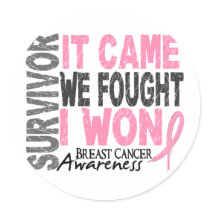 Breast Cancer Survivor It Came We Fought I Won Stickers