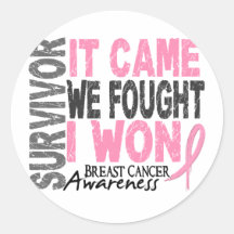 Breast Cancer Survivor It Came We Fought I Won Stickers