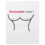 breast is best flyers